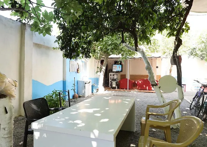 Auberge de jeunesse Osho Tirana