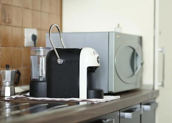 Osho Auberge de jeunesse